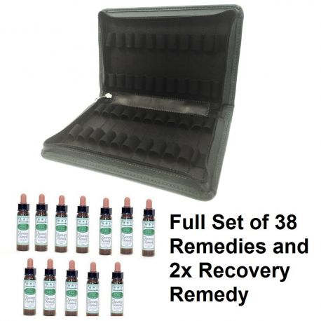 Ainsworth ΑΝΘΟΪΑΜΑΤΑ BACH Full Set 38 Remedies+2 Recovery Remedy