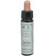 AINSWORTHS-GENTIAN 10ml