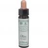 AINSWORTHS-OLIVE 10ml