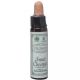 AINSWORTHS-SWEET CHESTNUT 10ml
