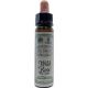 AINSWORTHS-WILD ROSE 10ml