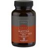 TERRANOVA Matcha Green Tea 400mg (organic-Ceremonial Grade AAA) - 50 capsules