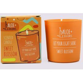 ALOE+ COLORS Sweet Blossom Scented Soy Candle Κερί Σόγιας με Άρωμα Βανίλια Πορτοκάλι, 220gr