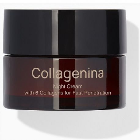 Labo Collagenina Night Cream Grade 3 Κρέμα Νυκτός Προσώπου με 6 Μόρια Κολλαγόνου, 50ml