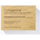 Labo Collagenina Promo Pack Grade 2 Σετ Αγωγής Προσώπου 6 Κολλαγόνων με Gel Προσώπου 30ml-Κρέμα Προσώπου 50ml-Γαλάκτωμα 30ml