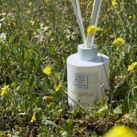 Sanko Scent Alcyone Reed Diffuser 125 ml