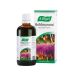 A.Vogel Boldocynara Για την πέψη 50ml