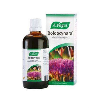 A.Vogel Boldocynara Για την πέψη 50ml