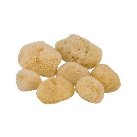 Ελληνικό Φυσικό Θαλάσσιο Σφουγγάρι Νο 1,1