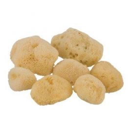 Ελληνικό Φυσικό Θαλάσσιο Σφουγγάρι Νο 4 Φίνο